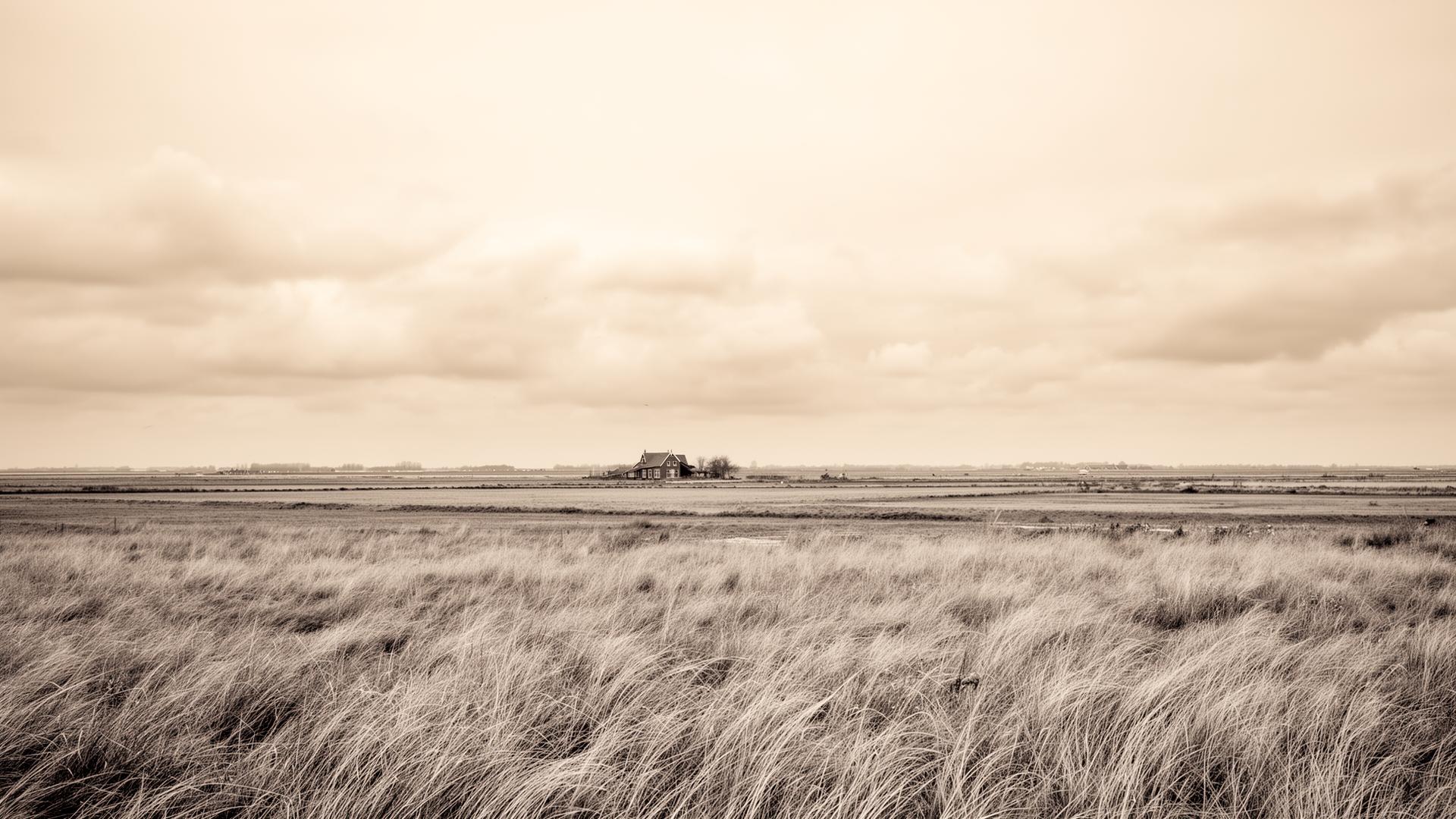 Open polder of Zeeuws-Vlaanderen — wide horizon, sky and clay